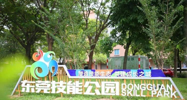 如何有效提升散步技能？（掌握散步技能的关键步骤，享受健康快乐步行生活）