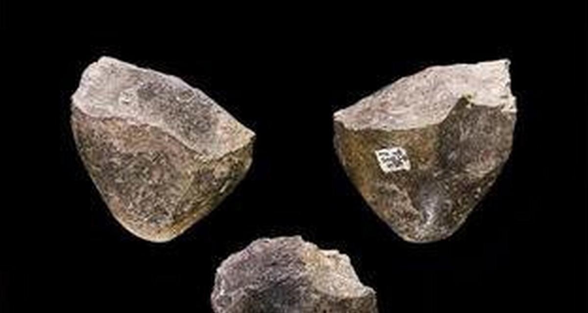 《探索青铜时代与铁器时代的秘密》（历史重现，感受古代文明的魅力）