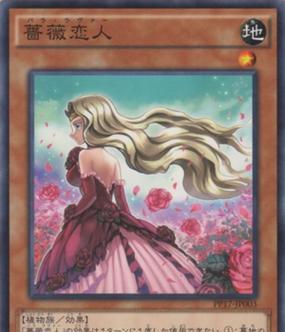 《以蔷薇恋人出装顺序攻略大全》（带你轻松打造完美出装！）
