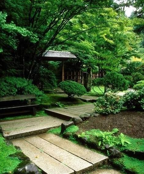 盛夏幽庭C排攻略（解密幽庭C排，畅享夏日冒险！）